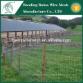Ferme bovine / mouton Fence / field Fabrication de clôture (prix d&#39;usine)